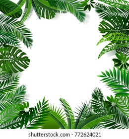 Green Palm Leaves Pattern Nature Concepttropical Stock Photo 1135028300 ...