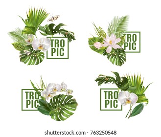 Vector botanical banners set with tropical leaves orchid flowers on white. Design for cosmetics, spa, health care products, travel company. Can be used as summer background