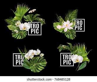 Vector botanical banners set with tropical leaves orchid flowers on black. Design for cosmetics, spa, health care products, travel company. Can be used as summer background