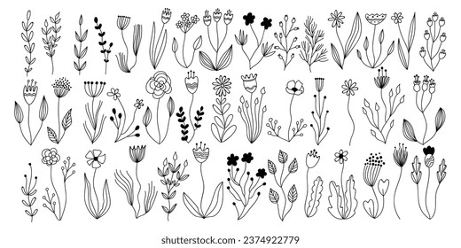 vector botanical collection floral herbal elements, isolated vector plants, branches, flowers ink pen sketch design, line art linear hand drawn botany doodle set cards, invitations, logo, diy projects