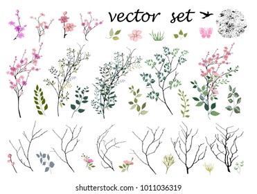 Vektorgrafik, Botanische Sammlung. Kräuter, Blätter, Blumen. Item-Set. Dekorative Zweige. Grunge.