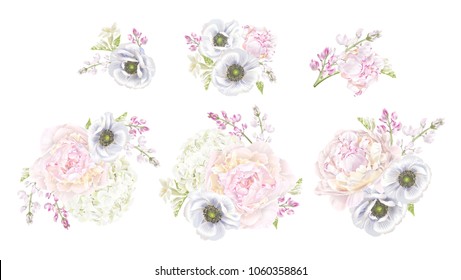 Vector botanical composition set with peony, hydrangea and anemone flower. Floral design for natural cosmetics, perfume, women products, greeting or wedding card, wrapping paper, fabric print
