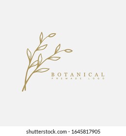 Vector botanical floral hand drawn logo template in elegant and minimal style with gold color on grey background illustration. For badges, labels, logotypes and branding business identity.