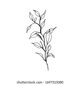 Vektorillustration botanisch-florale handgezeichnete Logo-Vorlage in elegantem und minimalem Stil mit schwarzer Farbe auf weißem Hintergrund. Für Abzeichen, Etiketten, Logotypen und Markenidentität.
