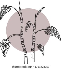 Plantilla de logo floral floral vectorial de estilo mínimo con color negro contra un círculo polvoriento rosa