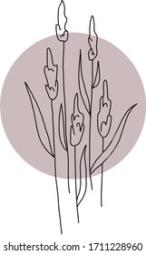 Vector botanical floral hand drawn logo template in minimal style with black color against a dusty pink circle