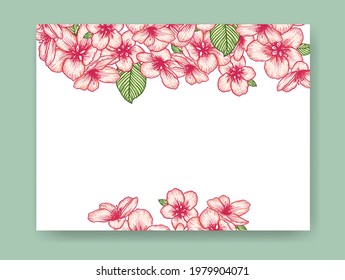 Vector botanical floral wedding invitation elegant card template with red apple flowers. Romantic design for greeting card, natural cosmetics, women products.