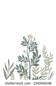 Vector botanical frame isolated on white. Floral drawing made of meadow flowers, foliage, stems, herbs and leaves. Nature illustration for postcard, card, invitation, greeting, placing text or phrase.