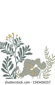 Vector botanical frame isolated on white. Floral drawing made of meadow flowers, foliage, stems, herbs and leaves. Nature illustration for postcard, card, invitation, greeting, placing text or phrase.