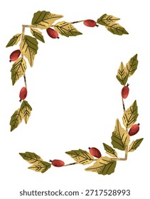 Vector botanical frame with rose hip berry in rectangle shape