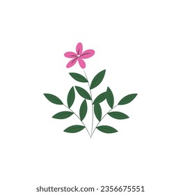 Vector botanical garden element on white background.