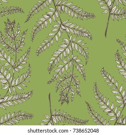 Vector botanical graphic pattern of fern leaves on green background