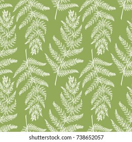 Vector botanical graphic pattern of fern leaves. Lime background. 