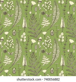Vector botanical graphic pattern of fern leaves. young shoots of fern, leaves, mushrooms and insects. forest graphic wallpaper