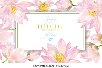 Vector botanical horizontal banner with lotus flowers on white background. Design for natural cosmetics, health care, ayurveda products, yoga center. Can be used as greeting card or wedding invitation