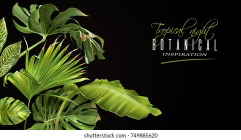 Vector botanical horizontal banner with tropical leaves on black background. Design for cosmetics, spa, health care products, travel company. Can be used as summer background