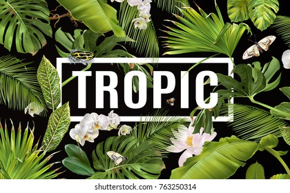 Vector botanical horizontal banner with tropical leaves orchid flowers and butterflies on black. Design for cosmetics, spa, health care products, travel company. Can be used as summer background