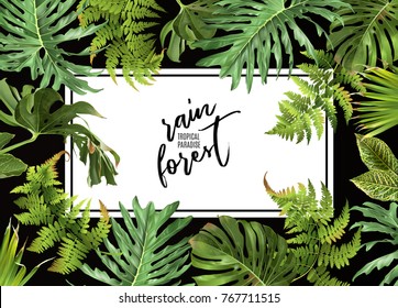Vector botanical horizontal banner with tropical leaves on black. Design for cosmetics, spa, health care products, travel company. Can be used as summer background