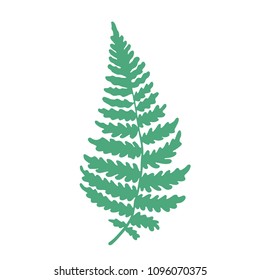 Vector botanical illustration of fern leaf. Isolated outline modern drawing of tropical plant. Exotic fern leaves silhouette. Design for fabric, textile, wallpaper, card, wedding invitation