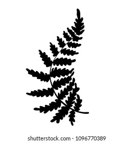 Vector botanical illustration of fern leaf. Isolated outline modern drawing of tropical plant. Exotic fern leaves silhouette. Design for fabric, textile, wallpaper, card, wedding invitation