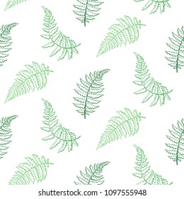 Vector botanical illustration of fern leaf. Isolated outline modern drawing of tropical plant. Set of exotic fern leaves silhouettes. Vector seamless floral green and white pattern