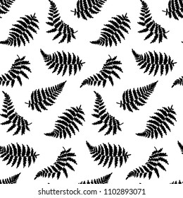 Vector botanical illustration of fern leaf. Isolated outline modern drawing of tropical plant. Set of exotic fern leaves silhouettes. Vector seamless floral black and white pattern