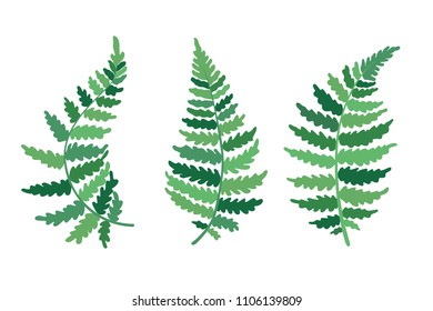 Vector botanical illustration of fern leaf. Isolated outline modern drawing of tropical plant. Set of exotic fern leaves silhouette. Design for fabric, textile, wallpaper, card, wedding invitation