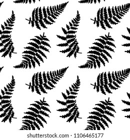 Vector botanical illustration of fern leaf. Isolated outline modern drawing of tropical plant. Set of exotic fern leaves silhouettes. Vector seamless floral black and white pattern