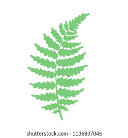 Vector botanical illustration of fern leaf. Isolated outline modern drawing of tropical plant. Exotic fern leaves silhouette. Design for fabric, textile, wallpaper, card, wedding invitation