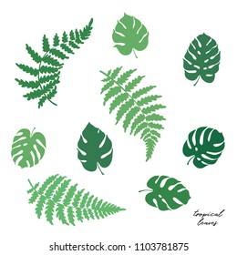 Vector botanical illustration of fern and monstera leaf. Isolated outline modern drawing of tropical plant. Set of exotic palm leaves silhouette. Design for textile, fabric, card, wedding invitation