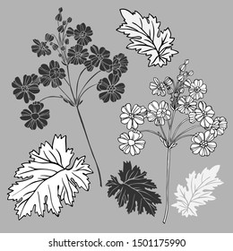 Vector botanical illustration with flower . Vector design In black and white style. Elements isolated on background.Can be used for printing on paper, stickers, badges, bijouterie, cards, textiles