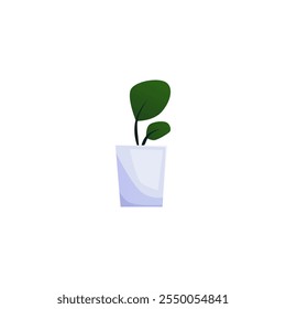 Vector botanical illustration of a flower in a flower pot with lush green foliage on a white background, ideal for use in medicine and organic design.