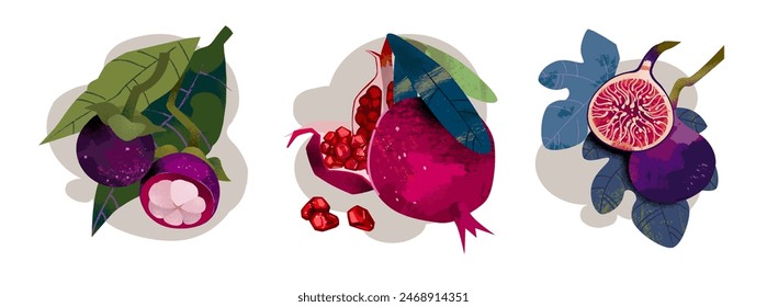 Vector botanical illustration of fruits on a gray abstract background. Pomegranate, fig and mangosteen. A trending textural style. Ripe fruits in the section.