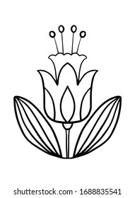 Vector botanical illustration with a linear flower and stamens on a white background in cartoon style for textile, packaging design, paper