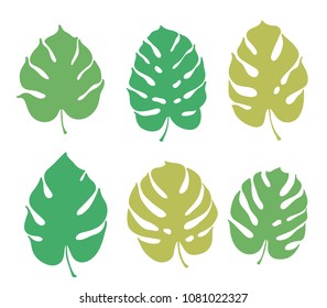 Vector botanical illustration of monstera leaf. Isolated outline drawing. Modern illustration of tropical plant. Set of exotic palm leaves silhouettes. Design for fabric, textile, wallpaper, card.