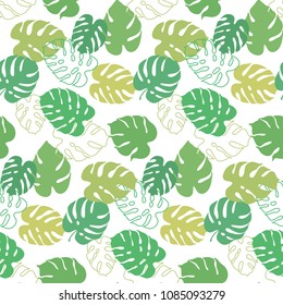 Vector botanical illustration of monstera leaf. Isolated outline drawing. Modern illustration of tropical plant. Set of exotic palm leaves silhouettes. Vector seamless floral black and white pattern