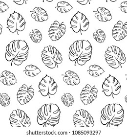 Vector botanical illustration of monstera leaf. Isolated outline drawing. Modern illustration of tropical plant. Set of exotic palm leaves silhouettes. Vector seamless floral black and white pattern