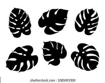 Vector botanical illustration of monstera leaf. Isolated outline drawing. Modern illustration of tropical plant. Set of exotic palm leaves silhouettes. Design for fabric, textile, wallpaper, card.
