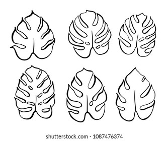 Vector botanical illustration of monstera leaf. Isolated outline drawing. Modern illustration of tropical plant. Set of exotic palm leaves silhouettes. Design for fabric, textile, wallpaper, card.