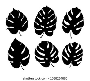 Vector botanical illustration of monstera leaf. Isolated outline drawing. Modern illustration of tropical plant. Set of exotic palm leaves silhouettes. Design for fabric, textile, wallpaper, card.
