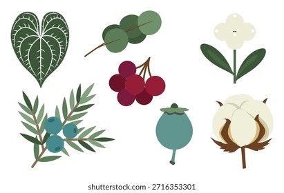 Ilustración botánica de Vector en estilo popular con hojas, flores, bayas y Elementos de algodón, perfecto para patrones, papelería, estampados y decoración.