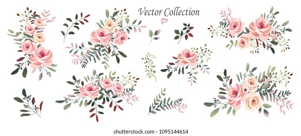 Vector.  Botanical illustration.Flower arrangements of pink roses, colorful leaves, wild herbs. A set of bouquets,twigs, floral elements.