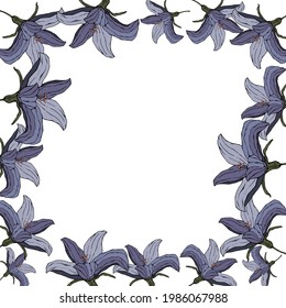 ilustración botánica vectorial, marco cuadrado de flores azules, para tarjetas de felicitación, invitaciones 