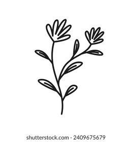 Vector botanical leaf doodle wildflower line art.