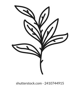 Vector botanical leaf doodle wildflower line art.