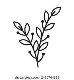 Vector botanical leaf doodle wildflower line art.