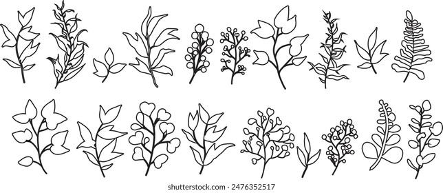 Vector línea botánica flores naturaleza flores