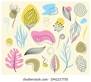 Vector botanical and organic design elements set