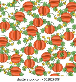 Vector botanical pattern with pumpkins, flowers and leaves