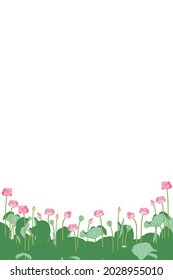 Vector botanical pink lotus vertical design on white background with beautiful pink lotus flowers and green leaves on bottom.